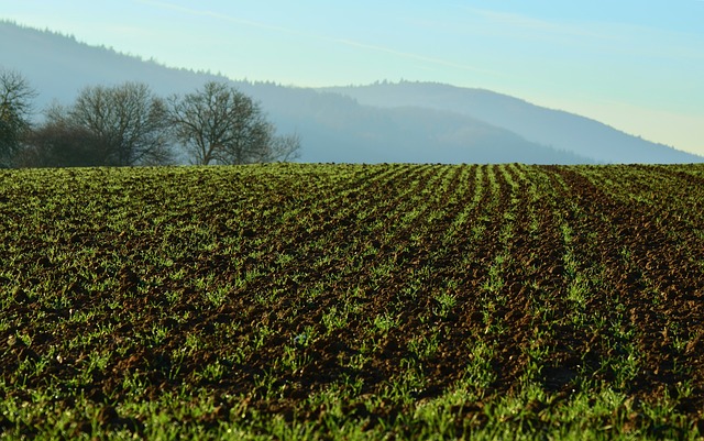 arable-1084410_640