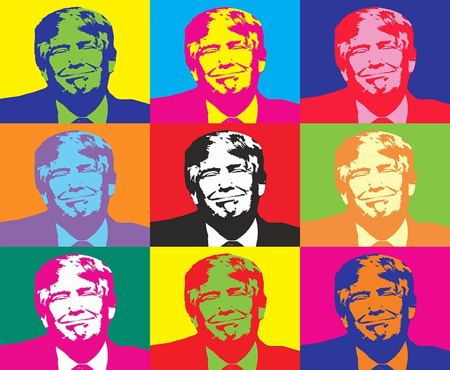 donald-trump-1547274_640