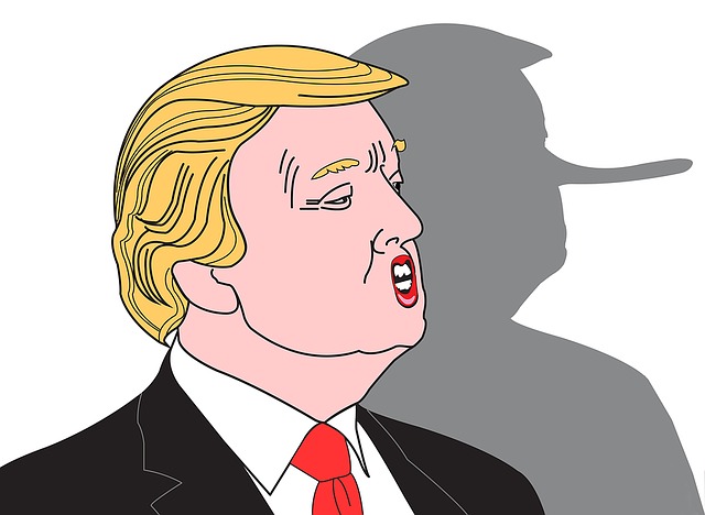 donald-trump-1276068_640