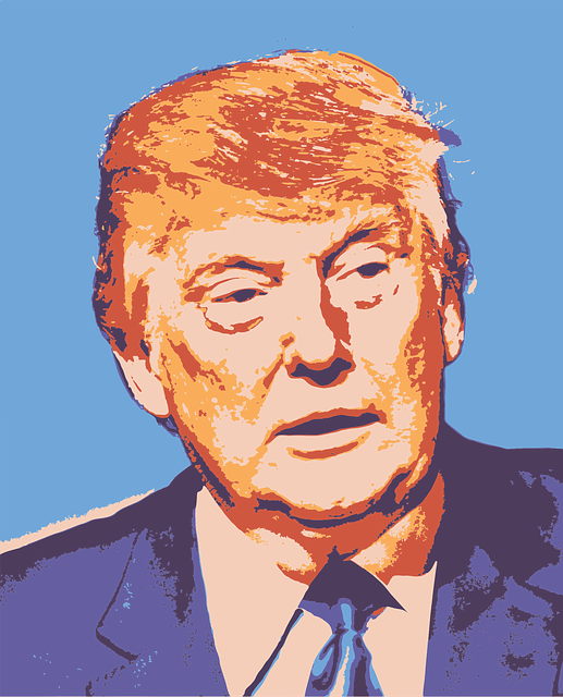 donald-j-trump-1342298_640