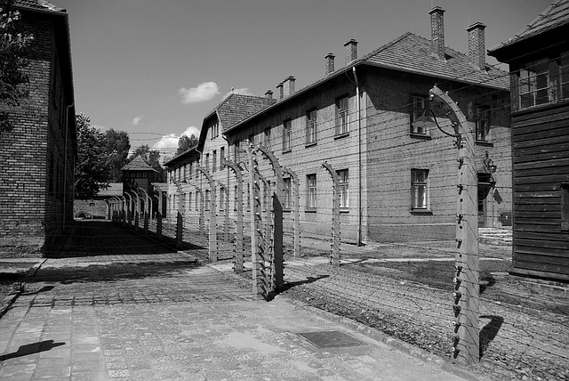 auschwitz-birkenau-1187913_640