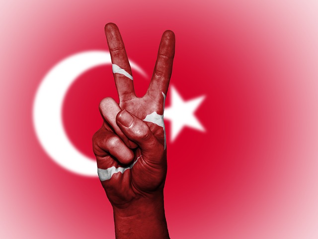 turk-2132659_640